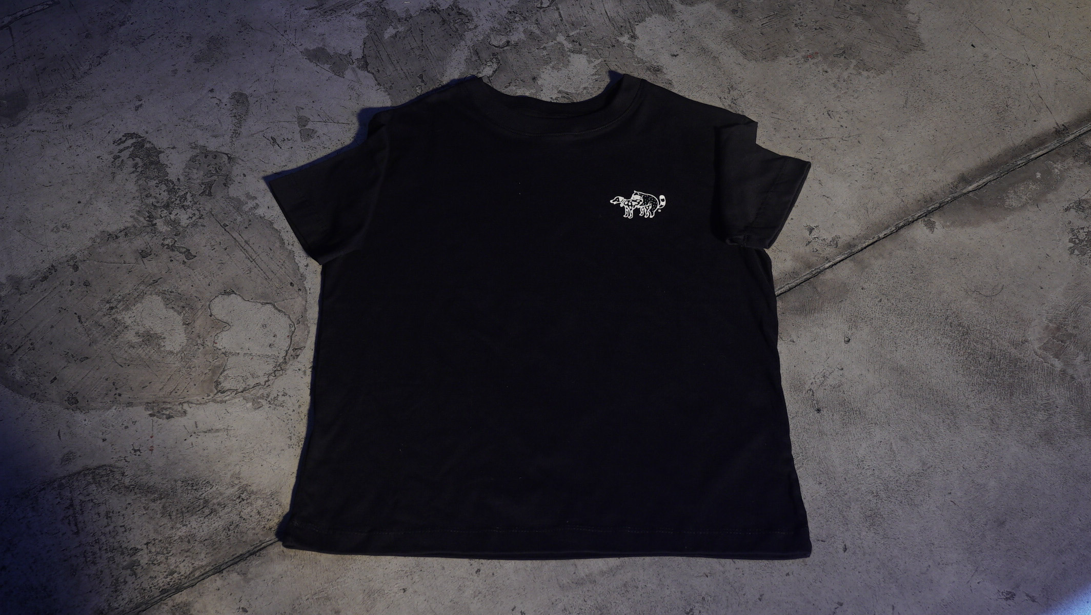 Remera Chacra Negro - box